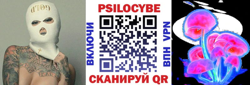 где продают   гидра tor  Псилоцибиновые грибы Magic Shrooms  Разумное 